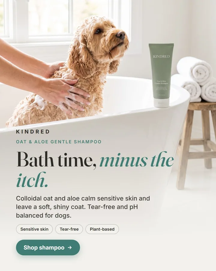 Kindred static ad: Oat & Aloe Gentle Dog Shampoo