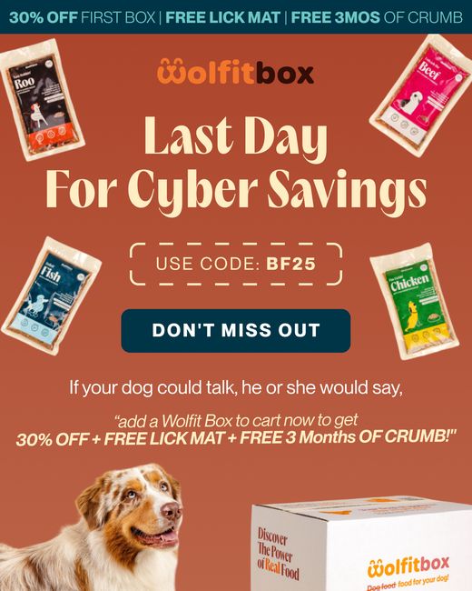 Last day for Cyber Monday savings