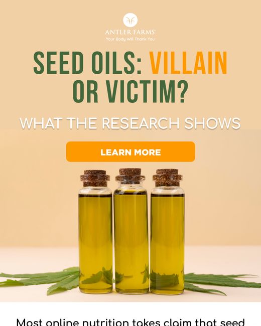 Seed oils: villain or victim?