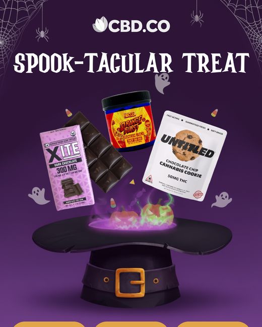 Spook-tacular treat: adult Halloween