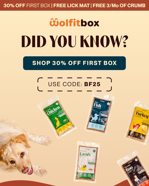 Did you know? Fresh food vs kibble