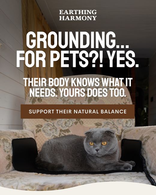 Grounding for pets? Yes.